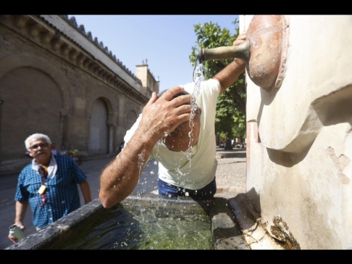 In Spagna morto un bracciante mentre lavorava con 40 gradi