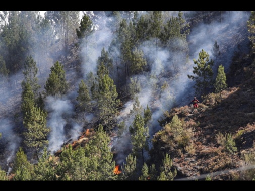 Roghi in Spagna, emissioni record carbonio, fumo in Scandinavia