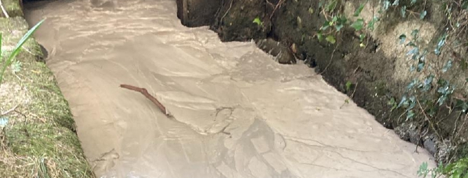 Sostanza densa nel fiume, moria di pesci e gamberi