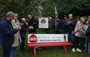 Busto Arsizio, una panchina per dire sì