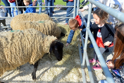 AgriVarese, la campagna a Busto Arsizio