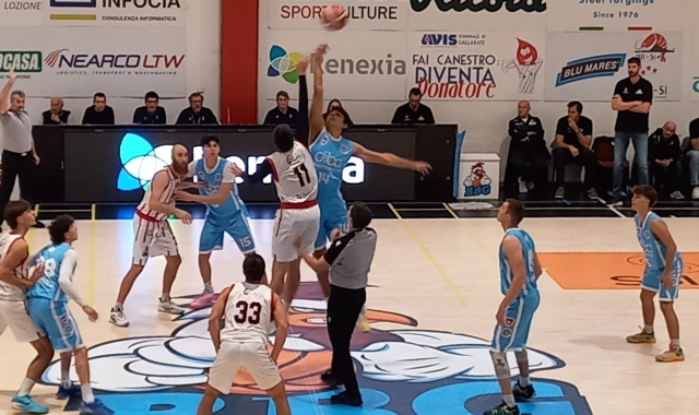 Palla a due nel derby Gallarate-Saronno