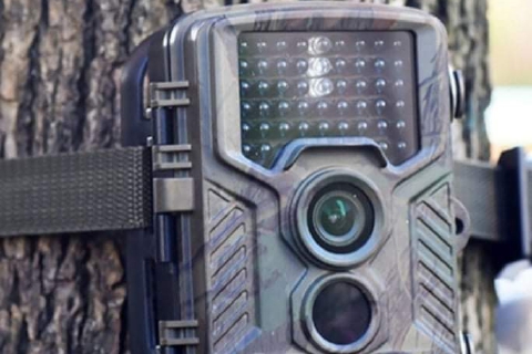 Raddoppiano le fototrappole