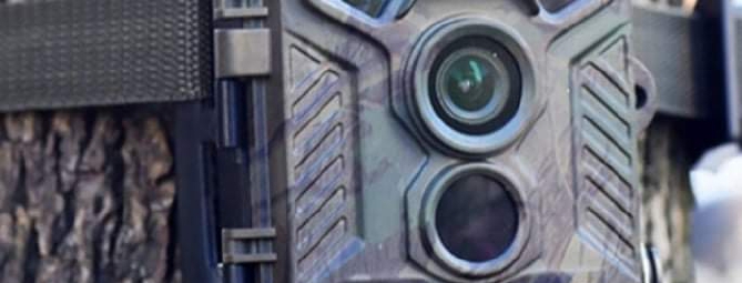 Raddoppiano le fototrappole