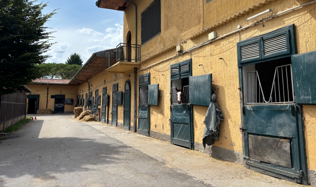 Scuderie al buio: allenatori pronti alla protesta