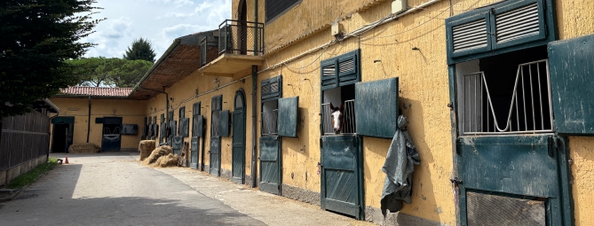 Scuderie al buio: allenatori pronti alla protesta