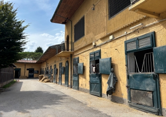 Scuderie al buio: allenatori pronti alla protesta