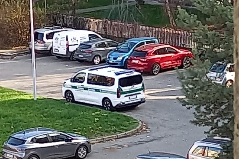 Gallarate, donna azzannata da un cane finisce al Pronto soccorso