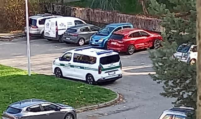 Gallarate, donna azzannata da un cane finisce al Pronto soccorso