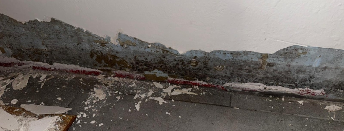 «Prigionieri della muffa nella casa Aler»