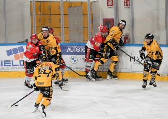 Mastini puniti dal Valpellice