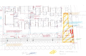 A Gallarate nuovi alberi da tagliare