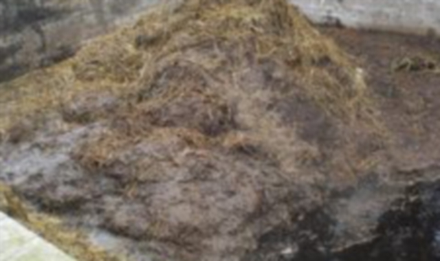 Sua Maestà Letame ora trasloca nella casa del re