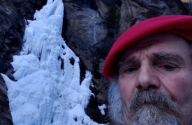 Taglia l’albero che lo travolge, morto boscaiolo