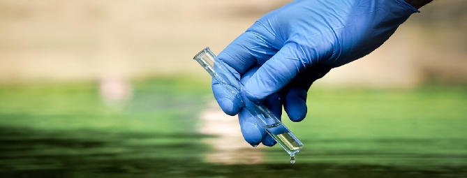 «Consumati 1,5 chili di cocaina al giorno»: lo dice l’acqua