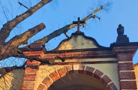 Albero crolla al cimitero: chiuso l’ingresso principale