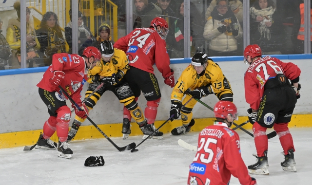 Mastini battuti in casa da Pergine