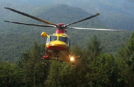 Cade dall’albero e si ferisce: arriva l’elisoccorso