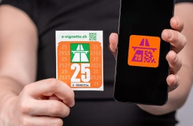 Danni e furti sulle auto in sosta: rubata pure una vignetta