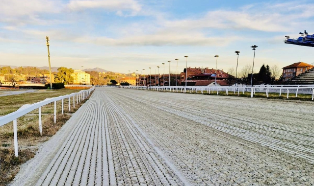 La pista di sabbia già rinnovata con il gradimento degli allenatori sulle performance dei cavalli (foto Angelo Puricelli)