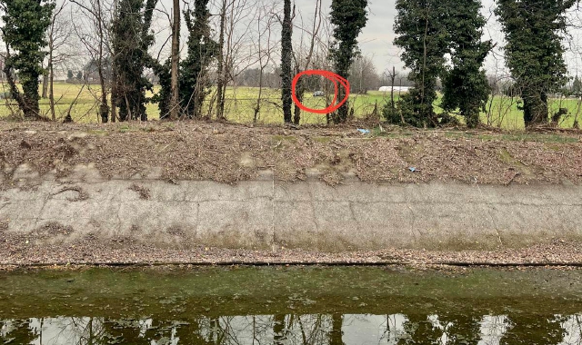 La segnalazione pubblicata sul gruppo Facebook “Sei di Nerviano se......”