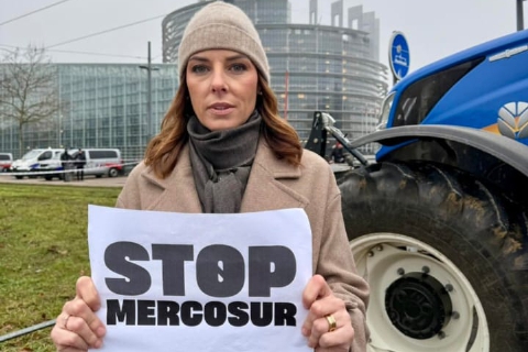 «Mercosur da rivedere, la nostra agricoltura va tutelata»