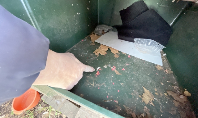 I segni ritrovati all’interno della cuccia dopo il blitz di inizio gennaio (foto Domenico Ghiotto)