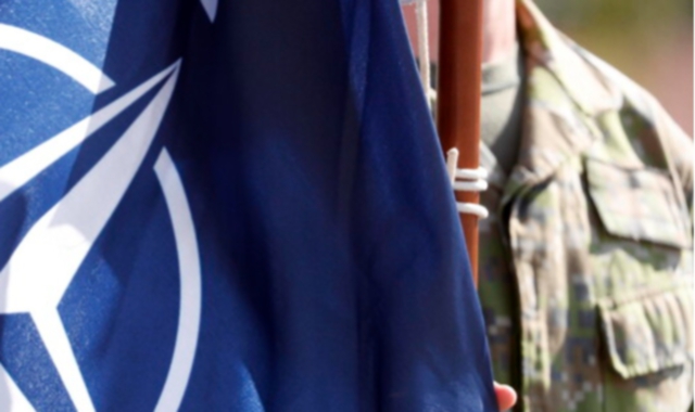 «Non offese le forze armate»