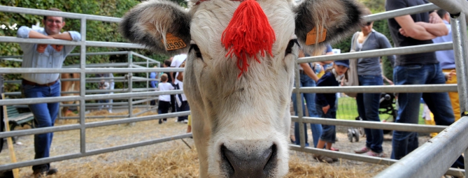 Agrivarese torna ai Giardini Estensi