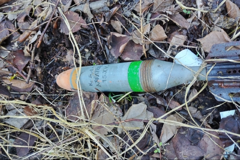 Trovano una bomba mentre puliscono i boschi