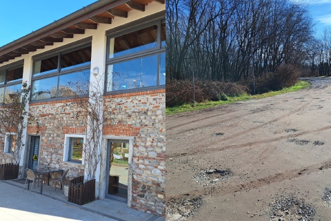 «Togliete le prostitute»: appello dall’Ex Dogana