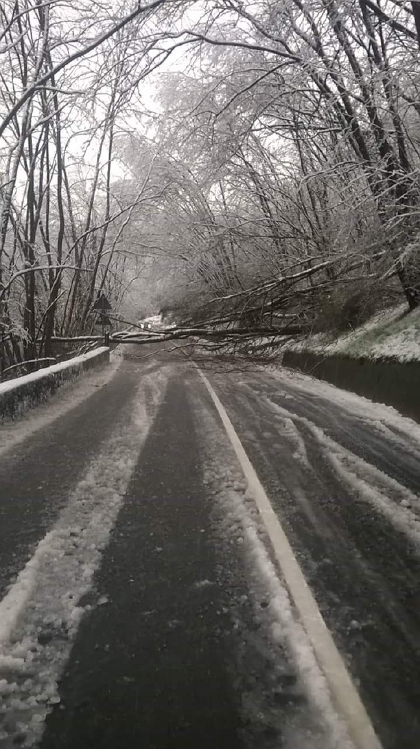 Neve Varese e provincia, strade paralizzate, stop Autolaghi e treni