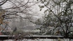 GN4_DAT_31367439.jpg
