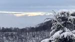GN4_DAT_32093124.jpg