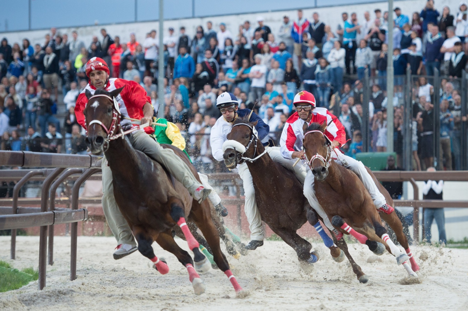 Legnano palio finale esultanze 29 05 2022