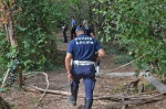 TRADATE OPERAZIONE ANTIDROGA ESEGUITA DALLA SEZIONE NARCOTICI SQUADRA MOBILE CON L’AUSILIO DEL REPARTO PREVENZIONE CRIMINE, CARABINIERI E POLIZIE LOCALI