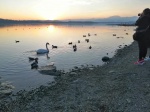 Siccità Lago di Varese
