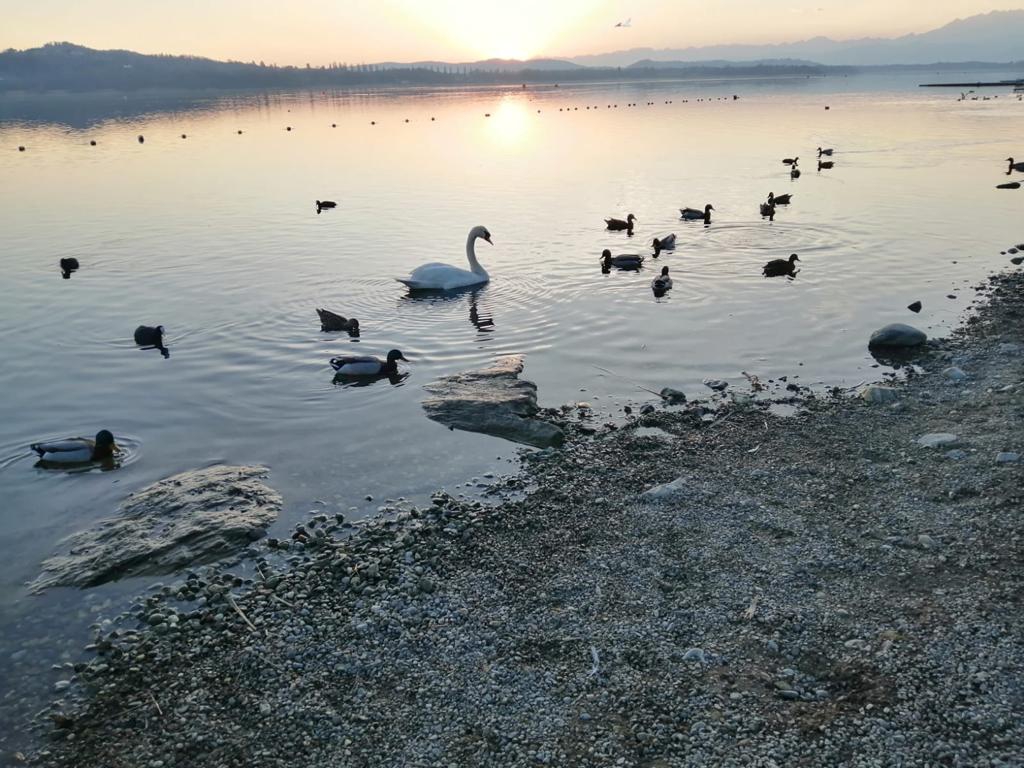 Siccità Lago di Varese