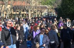 VARESE CARNEVALE MASNAGO AVIGNO 2023