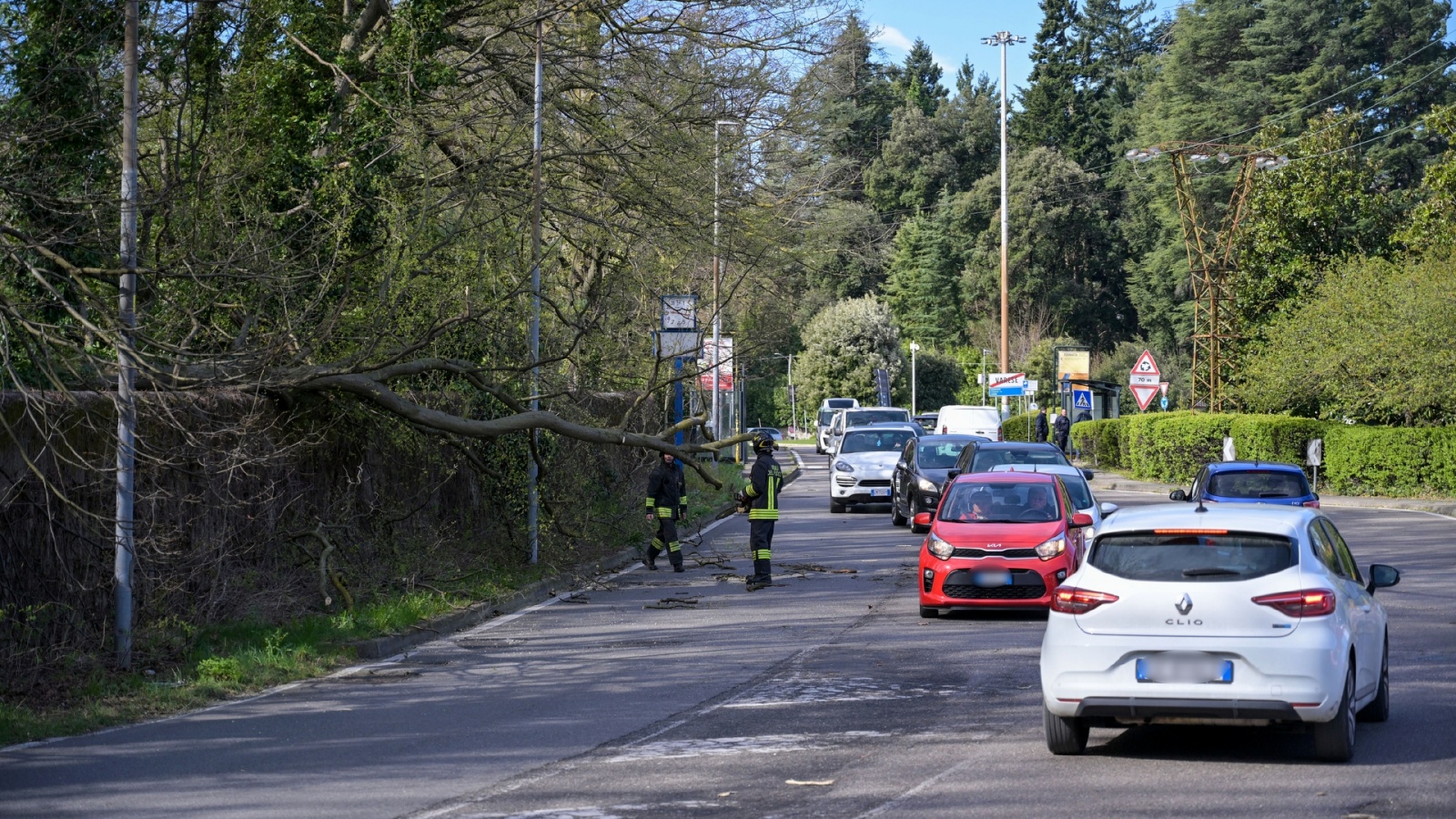 VARESE VENTO FORTE CON PIANTE CADUTE INTERVENTO DEI VIGILI DEL FUOCO