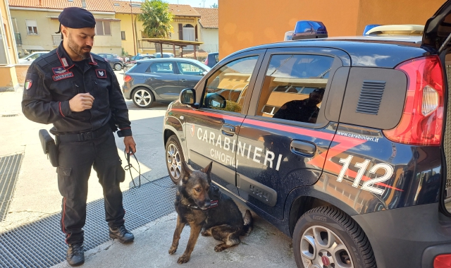 Droga nel ristorante, blitz dei carabinieri a Cerro