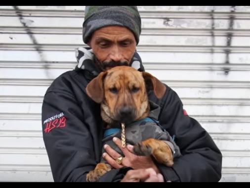 Brasile: cane restituito a senzatetto, 'è famiglia multispecie'