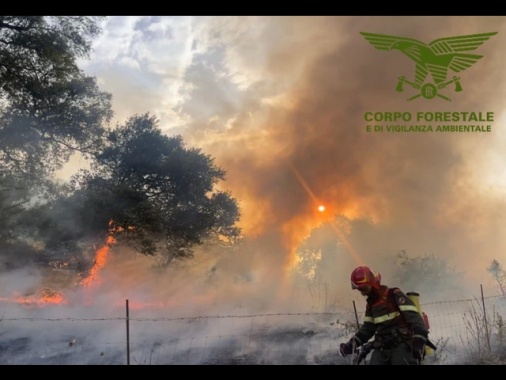 Incendio nel Nuorese, 700 ettari in fumo