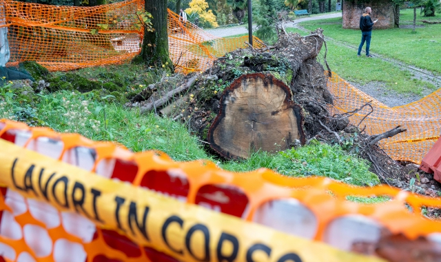 Nelle foto Blitzalcuni esempidel degradoche caratterizzada luglio parte dei Giardini Estensi