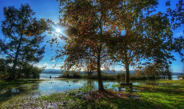 Schiranna e lago hanno cambiato “volto” rispetto ai giorni grigi delle piogge   (foto Susanna Clerici)