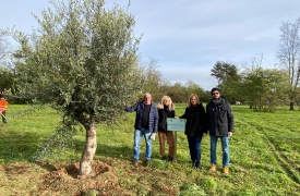 Busto Arsizio, cinque alberi nel parco dei nuovi nati