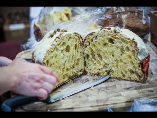 Lievi rincari per panettone, ma a Natale sarà caro-torrone