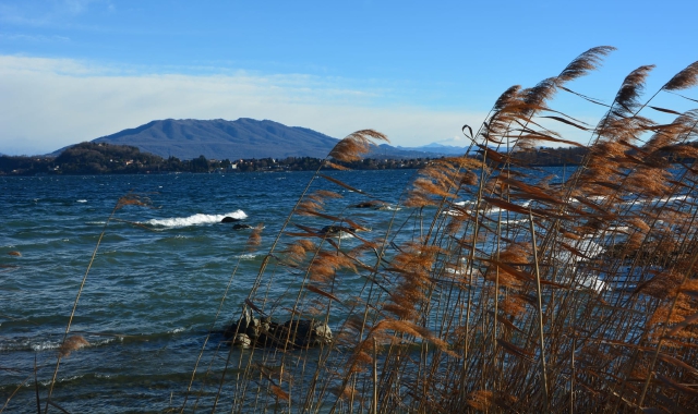 Le tipiche “ochette” da favonio sul lago di Varese 