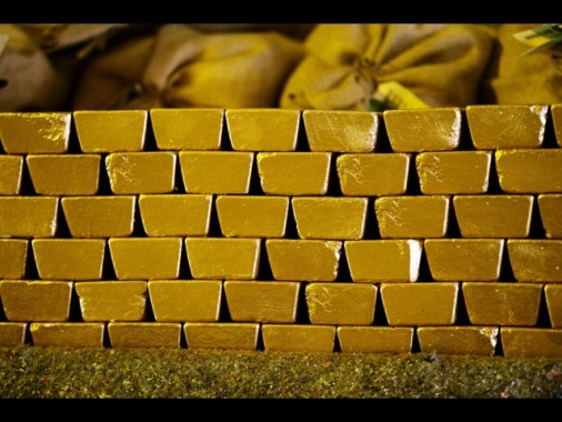 Usa, il Doge punta gli occhi su Fort Knox