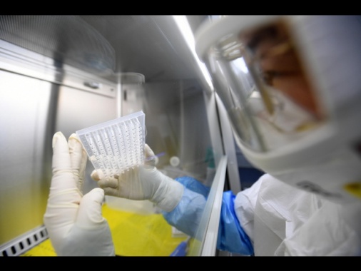 Team cinese scopre nuovo coronavirus trasmissibile all'uomo